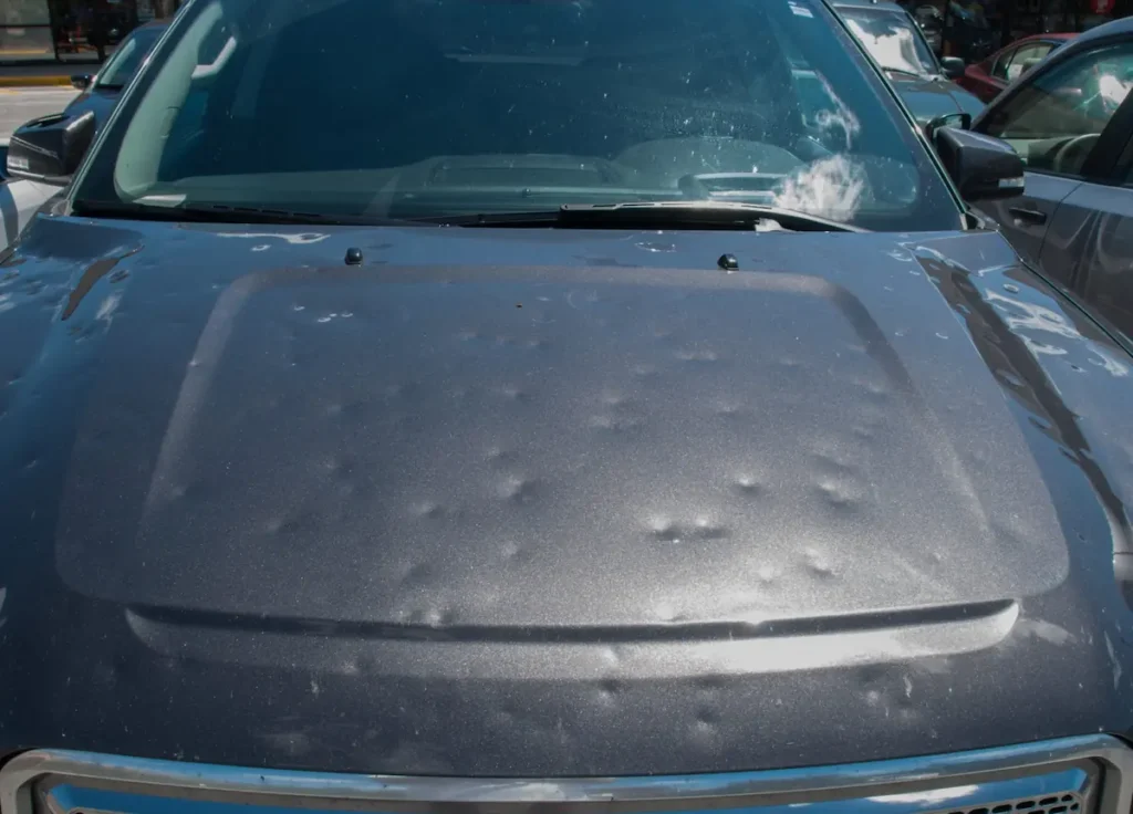 Read more about the article Everything Thing You Need To Know About Hail Damage In Edmonton