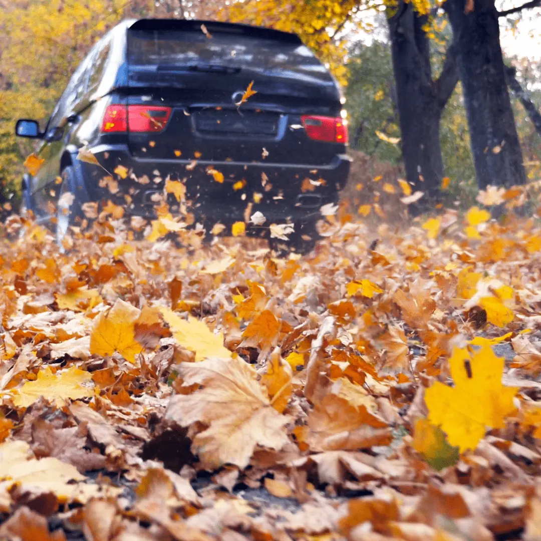 Blog: Fall Car Detailing Edmonton | Ming Shine