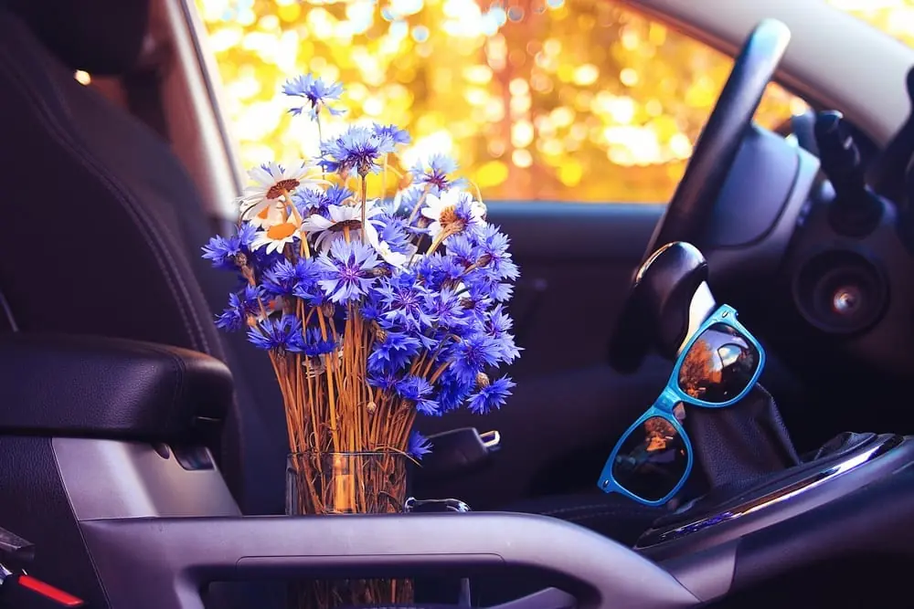 Read more about the article Is it time to clean my vehicle yet?